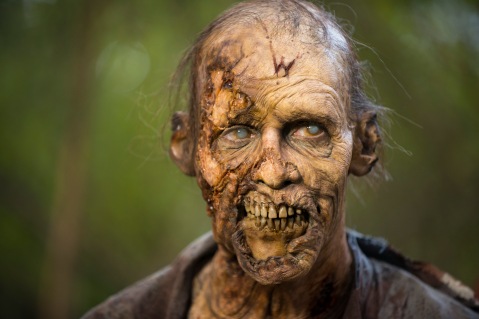 Walker - The Walking Dead _ Season 5, Episode 15 - Photo Credit: Gene Page/AMC